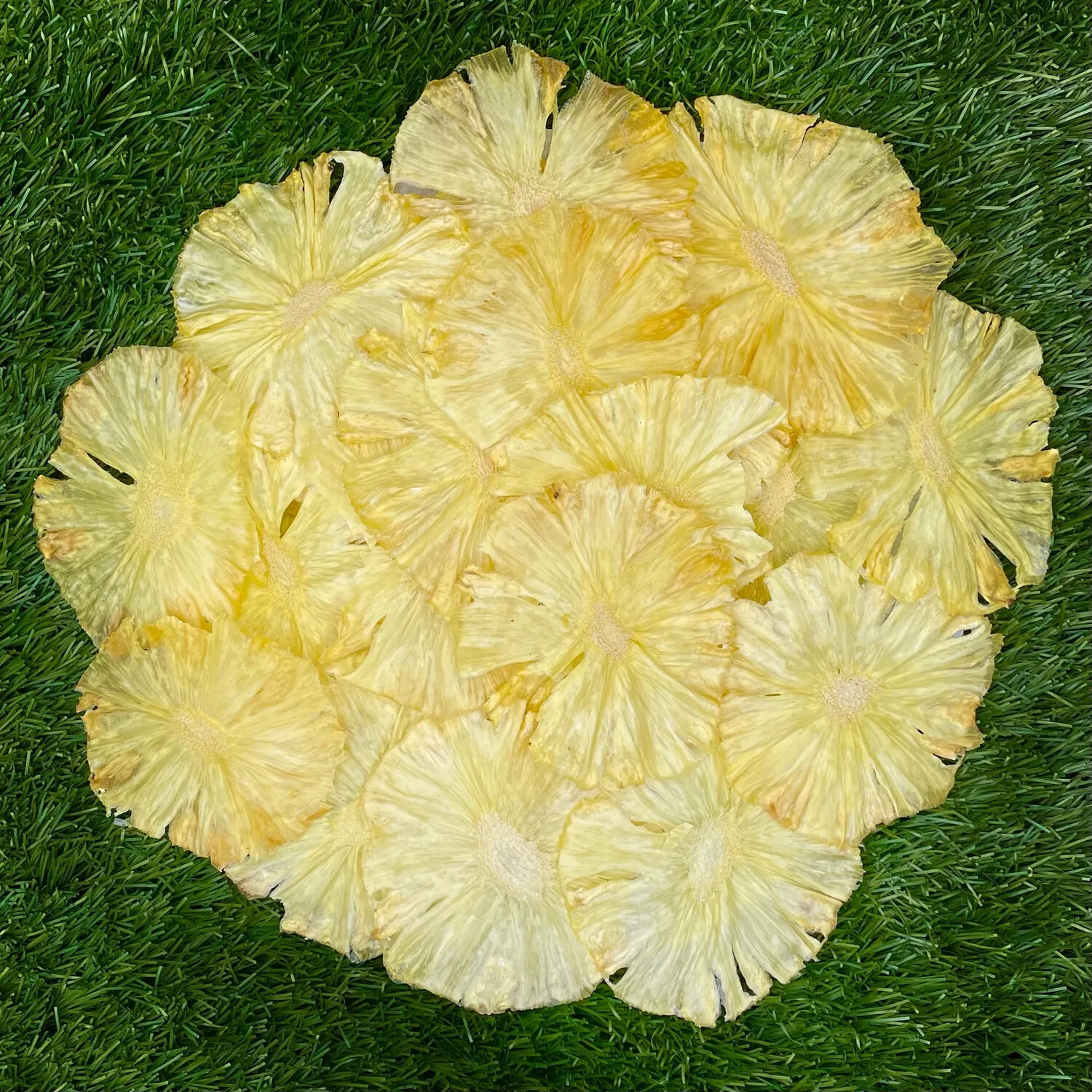 Ananas Bio Disidratato 50 grammi