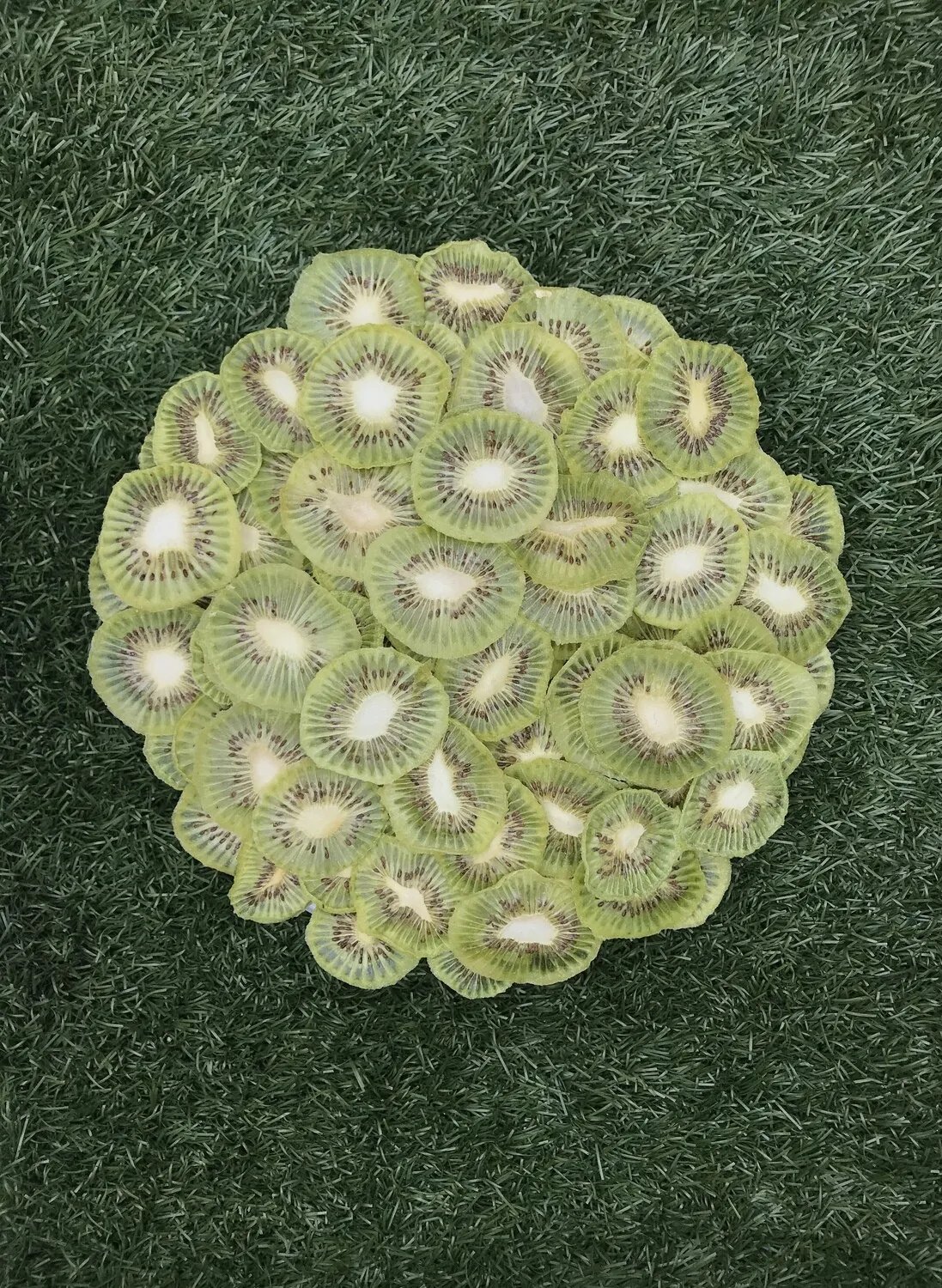 Kiwi Bio Disidratato 50 grammi