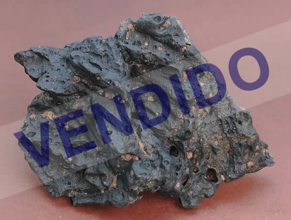 Pica Glass (Tectita Tarapaqueña), Numero Pieza 3-S-E, Calidad Grado Extra, Venta por unidad